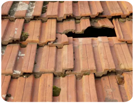 Fuite Toiture Mise Hors D'eau Eure 27 Acon 27570