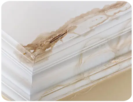 Infiltration d'eau toiture Eure 27 Acon 27570